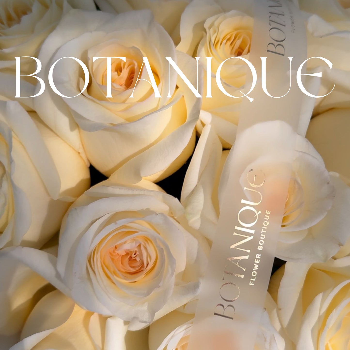 Rosas blancas Candelight
