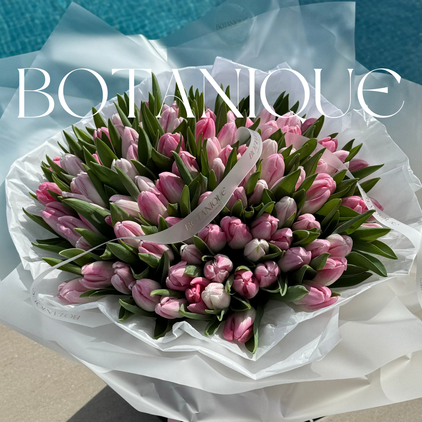 101 tulipanes de cualquier color