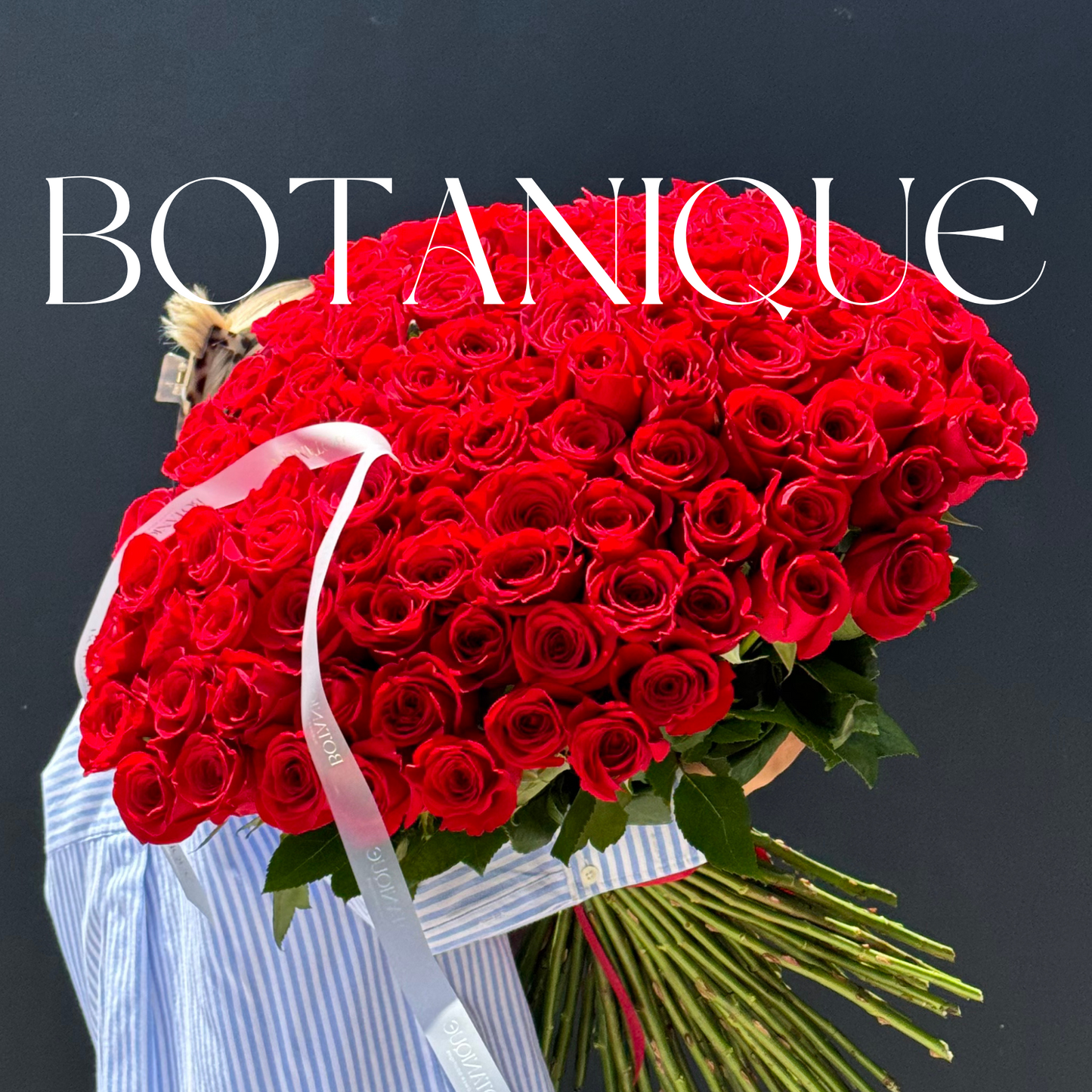 Rosa roja 60 cm